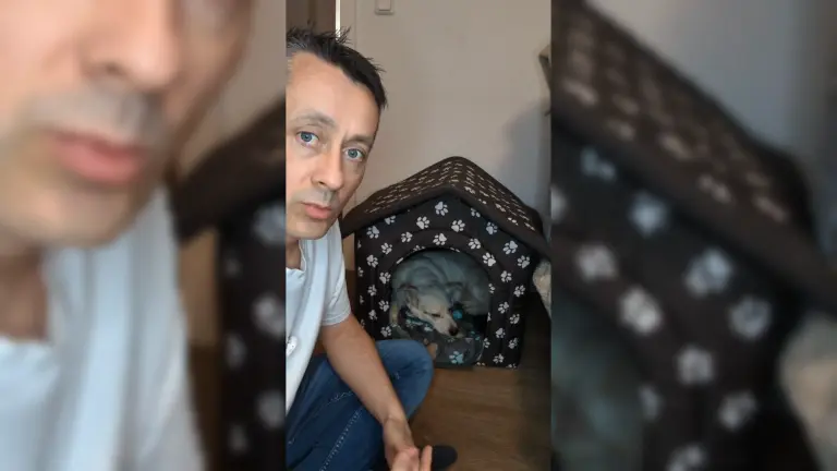 Polski pies w Niemczech