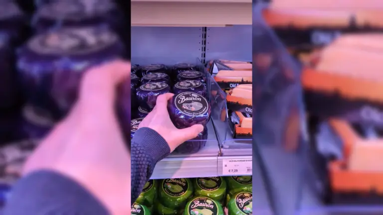 Polak w Holandii – Ser